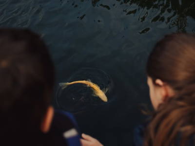 Bild 126 aus  Heselehof