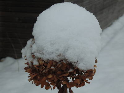 Bild 28 aus  Schmankerl und Gast Heiderer