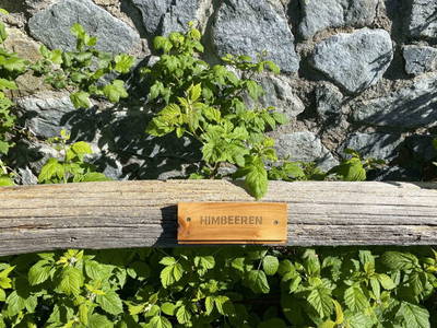 Bild 21 aus Alpenfarm Poschhof