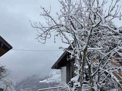 Bild 46 aus  Buchnerhof