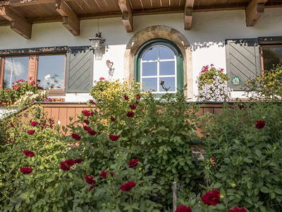 Bild 45 aus  Ascherbauer