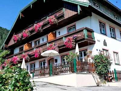 Bild 99 aus Archehof Eislbauer