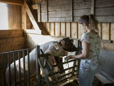 Bild 24 aus  Biobauernhof Fleckl Brixental Tirol