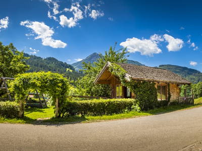 Bild 91 aus  Zauchtalerhof