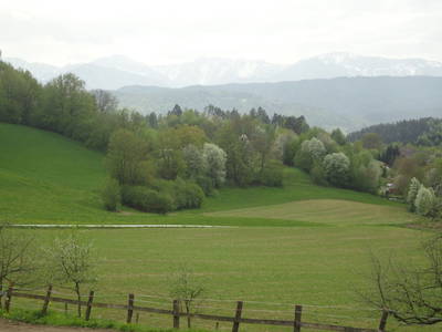 Bild 73 aus  Kollehof