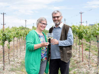 Bild 4 aus  Weingut Parth - Gästezimmer zur Schlafmütze
