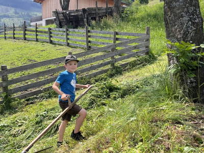 Bild 17 aus  Bleierhof