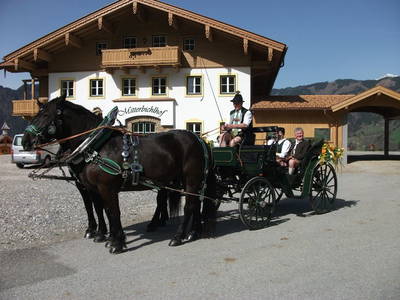 Bild 43 aus  Mitterbichlhof