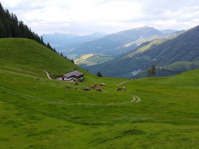 Bild 39 aus  Ferienhaus Althagerhof