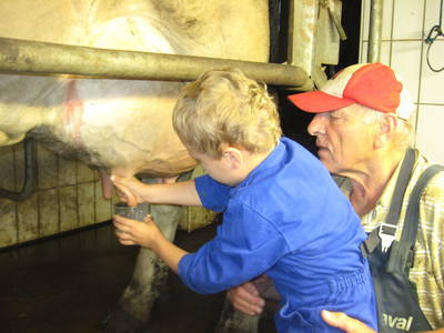 Bild 57 aus  Bio-Urlaubshof Dansbach