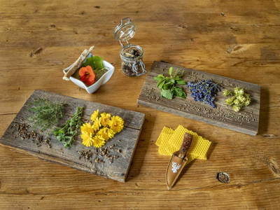 Bild 38 aus  Ferienhaus Widauer am Herzoghof