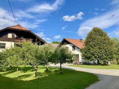 Bild 71 aus  Beim Leben