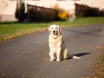 Bild 3 aus  Biohof Leutschach