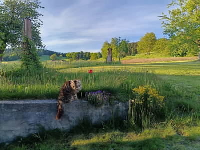 Bild 67 aus  Natur Erlebnishof Aumayr