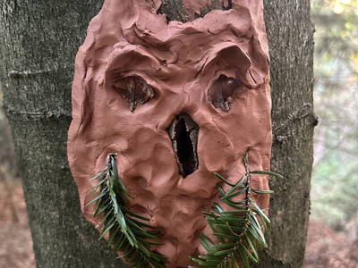 Bild 158 aus  Naturhof Innauer