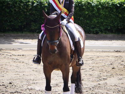 Bild 104 aus  Madritschhof