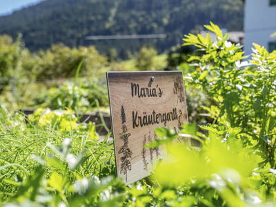 Bild 149 aus  Hagerhof