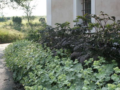 Bild 15 aus  Waldbothgut