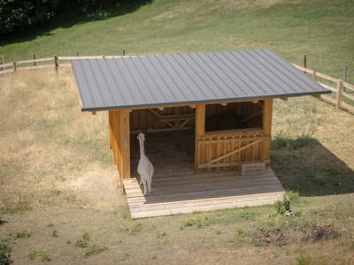 Bild 16 aus  Nussbolterhube