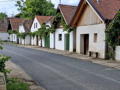 Bild 74 aus  Ferienhaus Weinviertel
