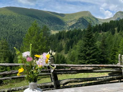 Bild 12 aus  Dreicharhütte