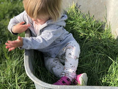 Bild 64 aus  Naturhof Innauer