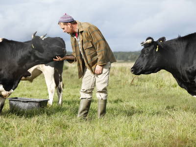 Bild 6 aus  Hof Klostersee