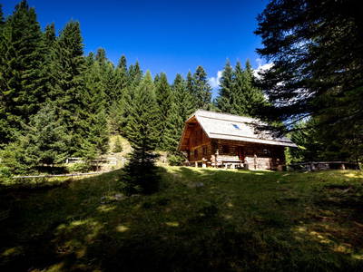 Bild 233 aus  Bischofhütten