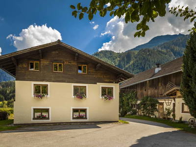 Bild 38 aus  Bio-Bauernhof Obertrattenbachhof