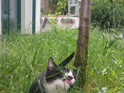 Bild 21 aus  Gästehaus Lösshof