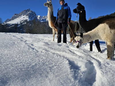 Bild 81 aus  Pfleger Ranch am Schönegg Gut