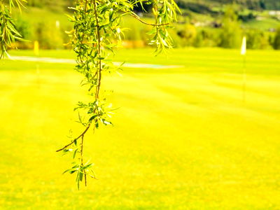 Bild 91 aus Pension Zechnerhof
