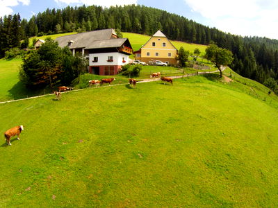 Bild 39 aus Bergbauernhof Rami