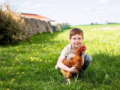 Bild 12 aus  ReiWaSchHOF