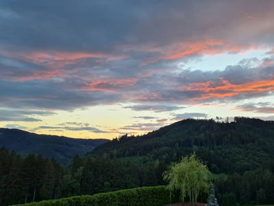 Bild 32 aus  Panorama Hof Fa. Sereinig