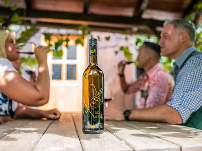 Bild 173 aus  Winzerhof Küssler, Weinviertel