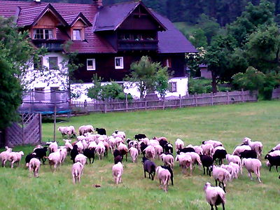 Bild 20 aus Auerhof