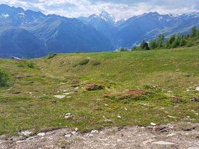 Bild 14 aus  Chalet Mittner Wirt