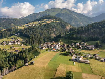 Bild 265 aus Genusshof Mesner Aktiv