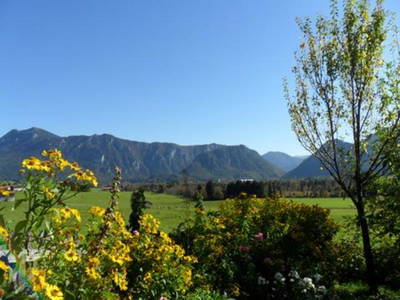 Bild 8 aus  Wimmerhof