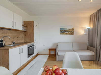 Bild 168 aus  Pleschinhof