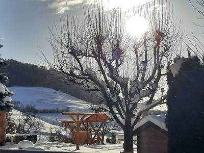 Bild 133 aus  Pölzlhof