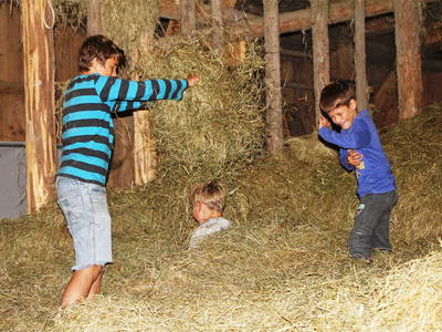 Bild 6 aus  Weber´s Ferienhof