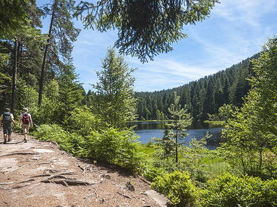 Bild 19 aus  Springhansenhof im Schwarzwald