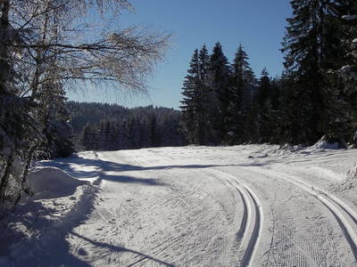 Bild 6 aus  Landhof Kiesel