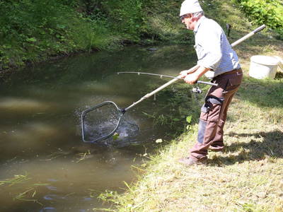 Bild 14 aus  Streiblhof