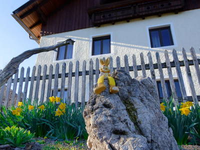 Bild 69 aus  Panoramahof am Goldberg