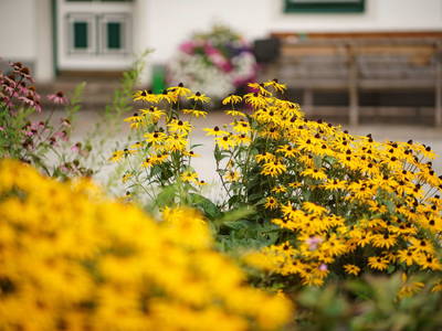 Bild 121 aus  Linharterhof Zimmer