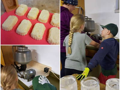 Bild 113 aus  Ferienwohnungen Lichtenegger 