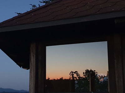 Bild 56 aus  Weinhof Reichmann